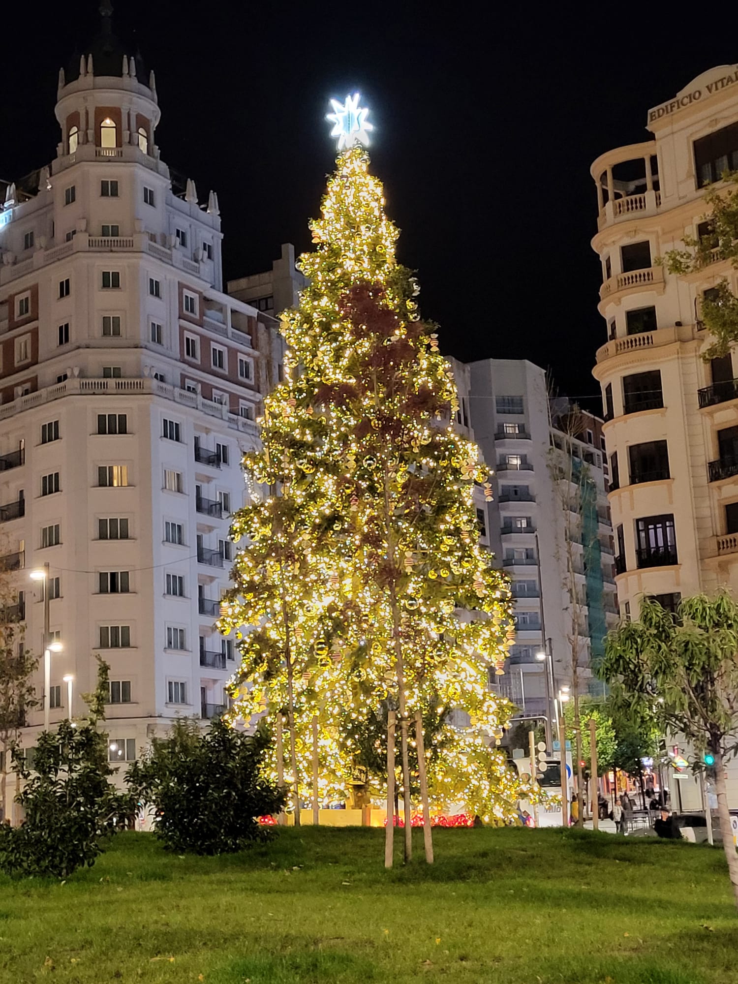 Árbol Iluminado con luces de Navidad en la Plaza de España